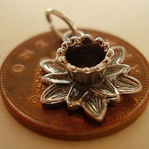 Sterling Silber NARZE Charme