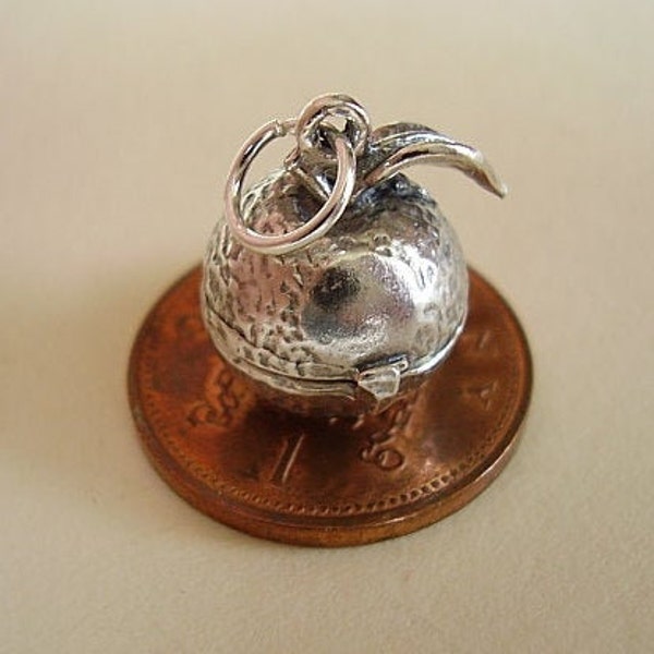 Sterling Silver 3D Apple charme , s’ouvre à Little Catapiller, Grub