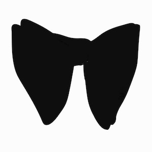 May include: A black bow tie, a classic accessory for formal occasions.