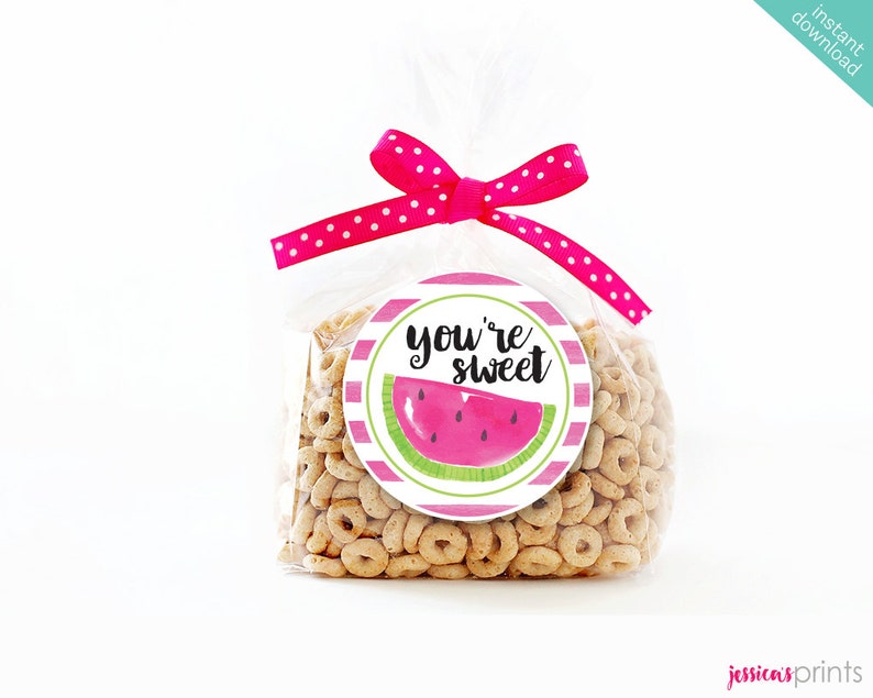 Watermelon Party Printable Favor Circles Pink Watermelon Instant Download Watermelon Printable Party Circles Watermelon Party Circles