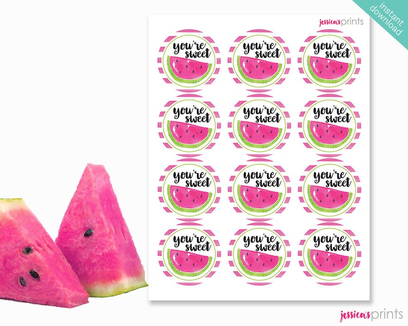 Watermelon Party Printable Favor Circles Pink Watermelon Instant Download Watermelon Printable Party Circles Watermelon Party Circles