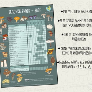 Może przedstawiać: Kolorowa tabela z ilustracjami r&oacute;żnych rodzaj&oacute;w grzyb&oacute;w, opisanych po niemiecku. Tabela nosi tytuł "Saisonkalender - Pilze" i zawiera kalendarz pokazujący miesiące roku i sezonowość każdego rodzaju grzyba. Tabela zawiera r&oacute;wnież tekst w języku niemieckim o zbieraniu grzyb&oacute;w i kupowaniu ich na rynku.