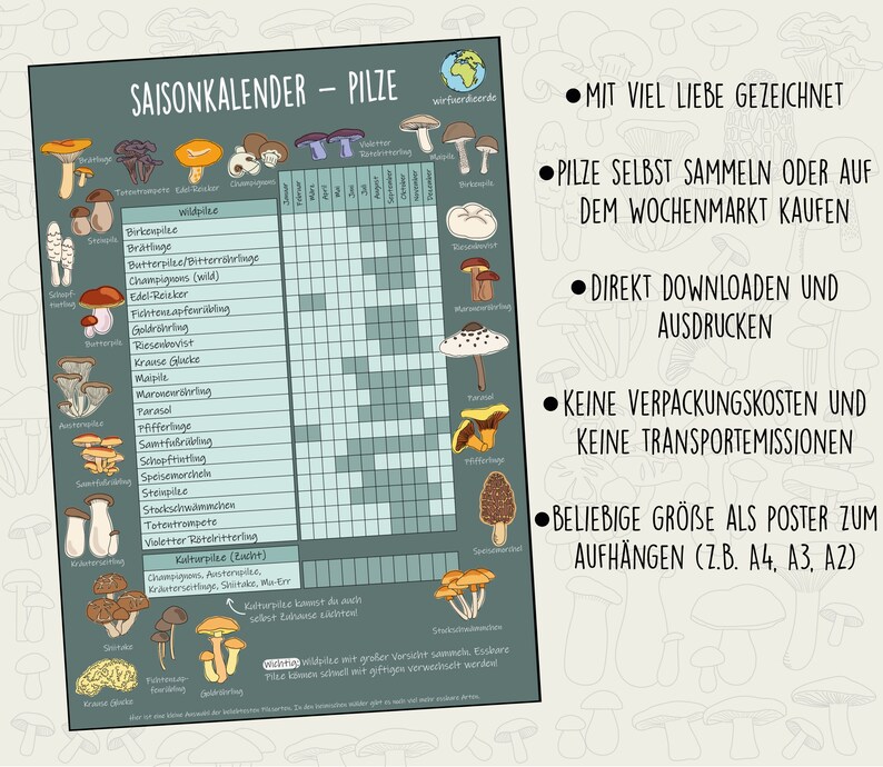 Może przedstawiać: Kolorowa tabela z ilustracjami r&oacute;żnych rodzaj&oacute;w grzyb&oacute;w, opisanych po niemiecku. Tabela nosi tytuł "Saisonkalender - Pilze" i zawiera kalendarz pokazujący miesiące roku i sezonowość każdego rodzaju grzyba. Tabela zawiera r&oacute;wnież tekst w języku niemieckim o zbieraniu grzyb&oacute;w i kupowaniu ich na rynku.