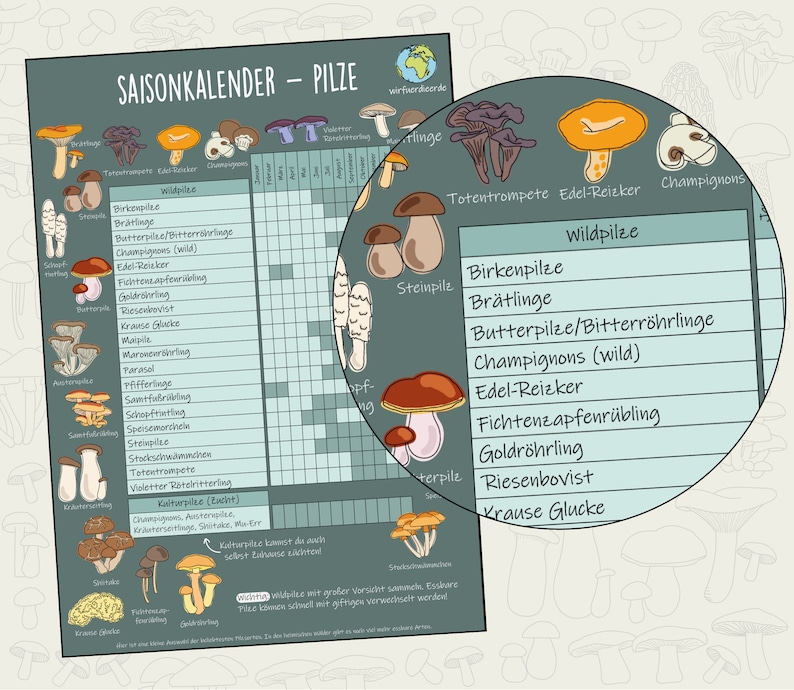 Może przedstawiać: Kolorowa tabela z ilustracjami r&oacute;żnych rodzaj&oacute;w grzyb&oacute;w. Tabela nosi tytuł "Saisonkalender - Pilze" i zawiera kalendarz z miesiącami roku. Tabela zawiera r&oacute;wnież listę nazw grzyb&oacute;w w języku niemieckim, takich jak "Steinpilze", "Edel-Reizker" i "Fichtenzapfenr&uuml;bling".