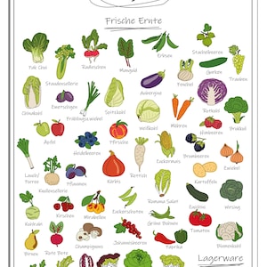 Pu&ograve; includere: Un grafico colorato con illustrazioni di frutta e verdura di stagione nel mese di agosto. Il grafico &egrave; intitolato "August, Frische Ernte", che si traduce in "Agosto, Raccolto fresco".