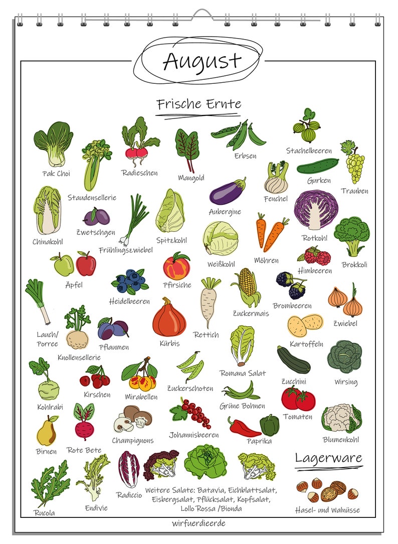 Pu&ograve; includere: Un grafico colorato con illustrazioni di frutta e verdura di stagione nel mese di agosto. Il grafico &egrave; intitolato "August, Frische Ernte", che si traduce in "Agosto, Raccolto fresco".