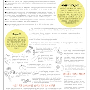 Pu&ograve; includere: Un'infografica colorata con suggerimenti su come ridurre lo spreco di cibo e conservare correttamente frutta, verdura e altri alimenti. L'infografica include illustrazioni di vari alimenti, come mele, banane, pomodori e pane. Il testo include frasi come "Wusstest du, dass..." e "Vorsicht".