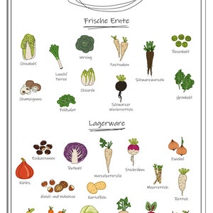 Pu&ograve; includere: Un'illustrazione colorata di diverse verdure e frutta di stagione a dicembre. L'illustrazione &egrave; divisa in due sezioni: "Frische Ernte" (Raccolto fresco) e "Lagerware" (Stoccaggio). L'illustrazione comprende verdure come carote, rape, pastinache, cavoli di Bruxelles, cavolo riccio, porri, cicoria, ecc. L'illustrazione comprende anche frutta come mele, pere e zucche.