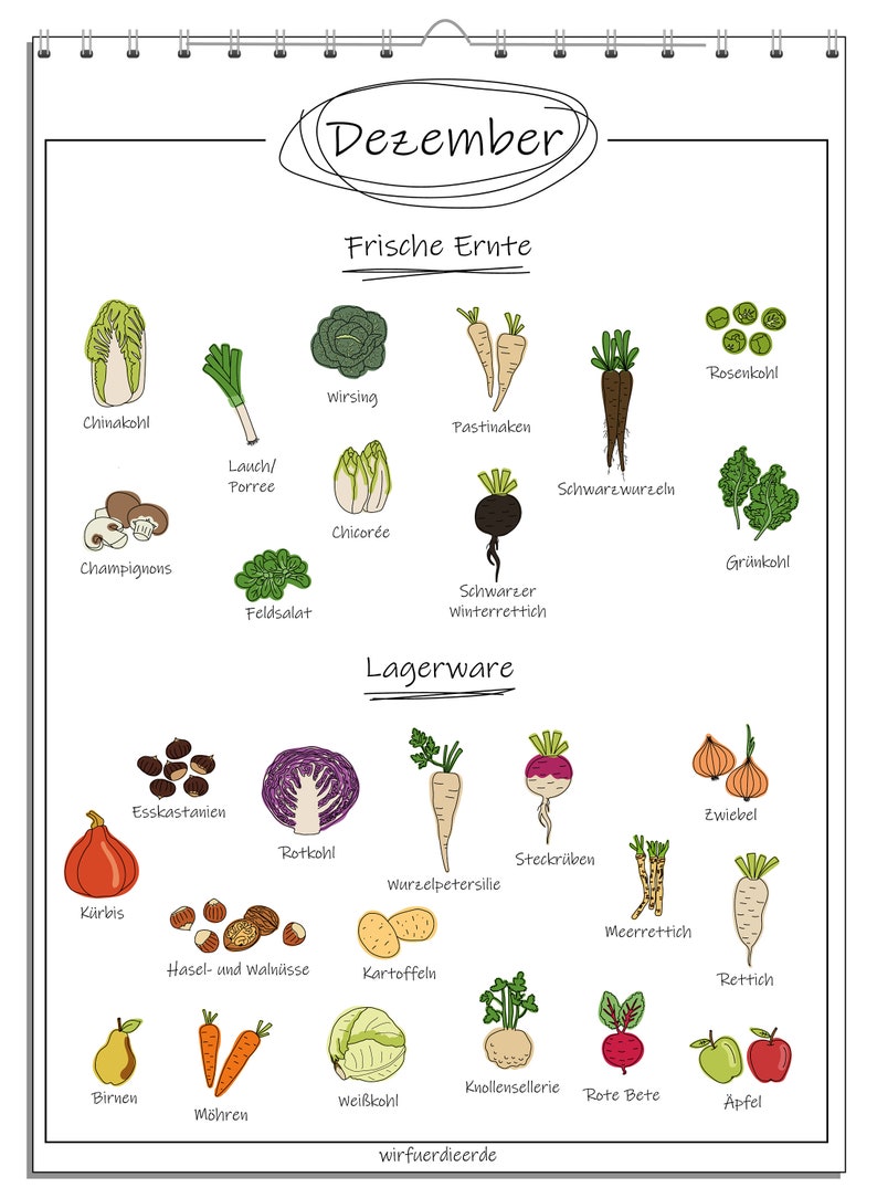 Pu&ograve; includere: Un'illustrazione colorata di diverse verdure e frutta di stagione a dicembre. L'illustrazione &egrave; divisa in due sezioni: "Frische Ernte" (Raccolto fresco) e "Lagerware" (Stoccaggio). L'illustrazione comprende verdure come carote, rape, pastinache, cavoli di Bruxelles, cavolo riccio, porri, cicoria, ecc. L'illustrazione comprende anche frutta come mele, pere e zucche.