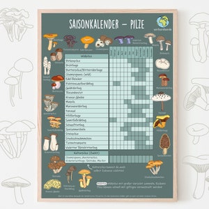 May include: A colorful chart with illustrations of different types of mushrooms. The chart is titled "Saisonkalender - Pilze" and includes a calendar grid showing the months of the year and the seasonality of each mushroom.