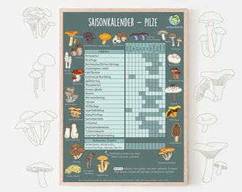 Calendrier saisonnier pour les champignons A2 A3 A4 A5 Affiche Aide à l'environnement Aide à la cuisine ramasser les champignons de manière écologique