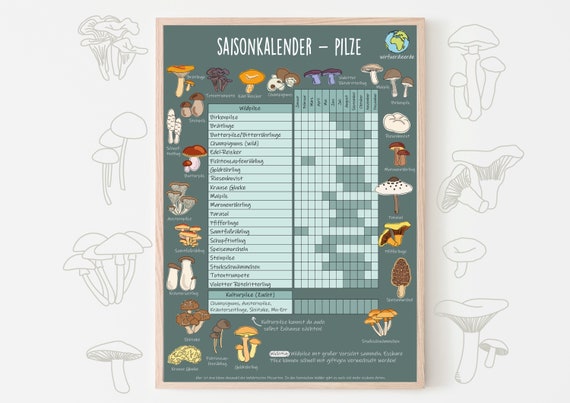 Saisonkalender für Pilze A2 A3 A4 A5 Poster Umwelthilfe Küchenhilfe umweltfreundlich Pilze sammeln