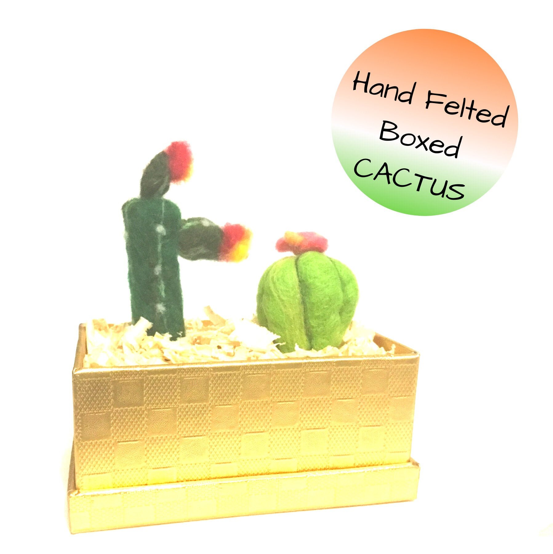 Hand Felted Cactus Flowering Cactus Plants Indoor Plant Etsy