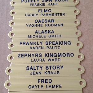 Custom Brass Halter Plates for Horse or Home Decor-Now with FREE SHIPPING//Read Description CAREFULLY