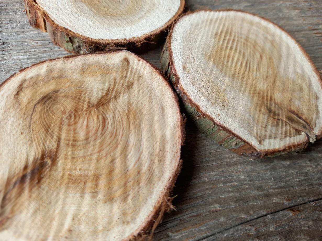 Rustic Log Slice Set of 20 Cypress-tree Slices With Bark,unfinished Wood Slice With Bark ...