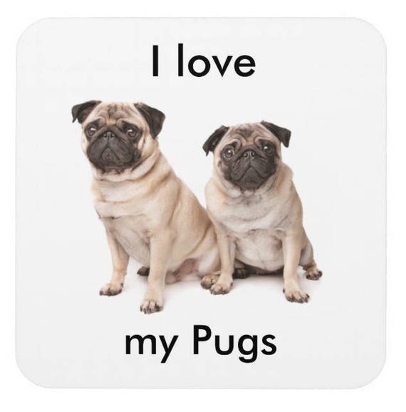 pugs are ugly