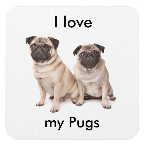 pugs are ugly