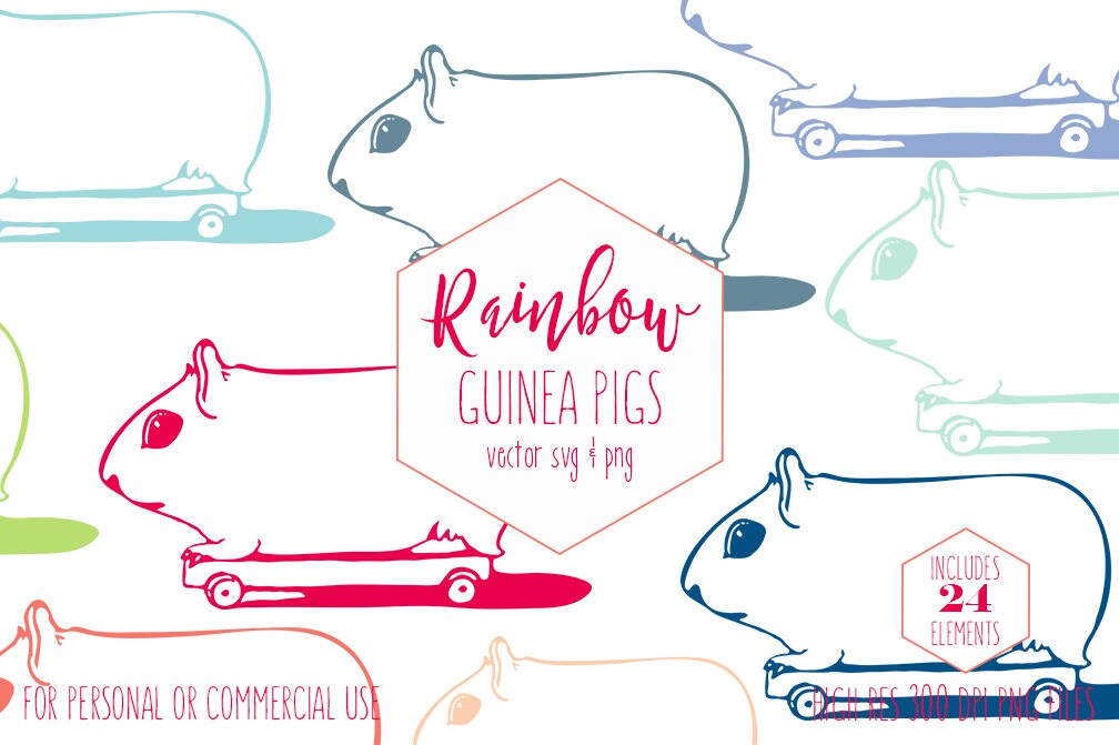 Download Skateboard Guinea Pig Clipart For Commercial Use Clip Art For Kids Pet Hamster Cute Skater Pet Rainbow Color Fun Vector Digital Graphics Svg