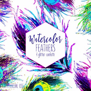 Turquoise and Brown Glitter Feathers Clipart