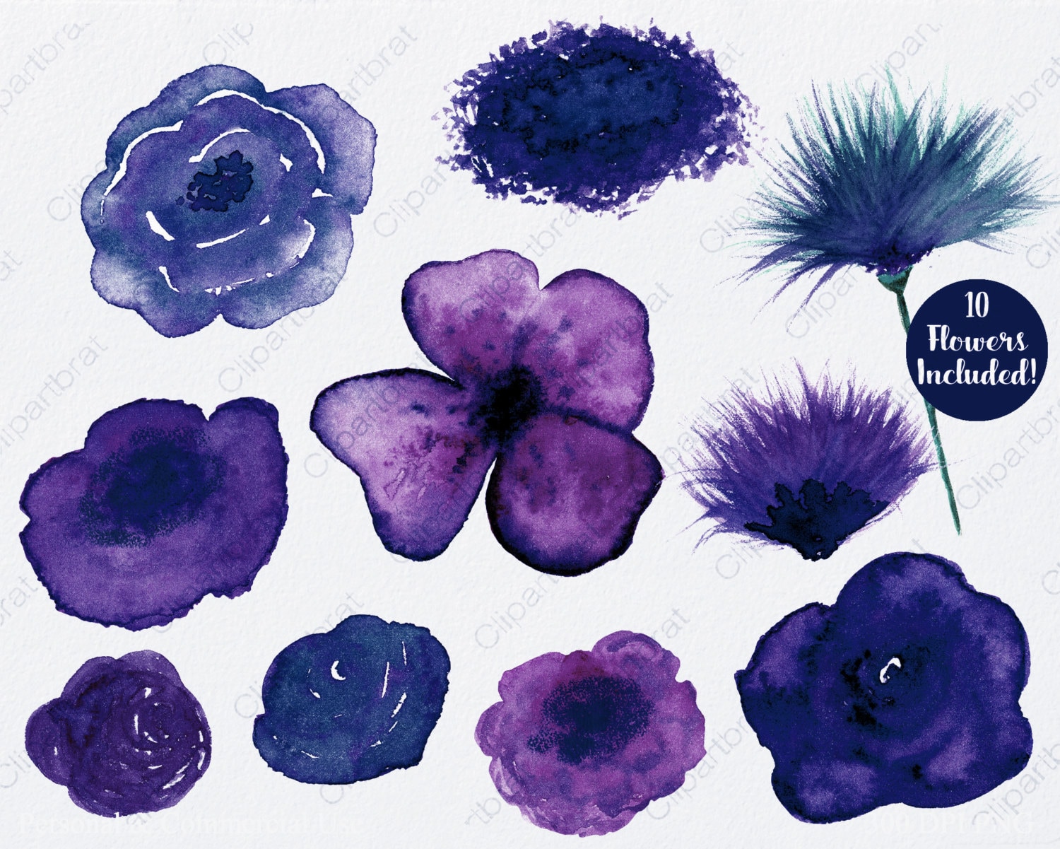 Download PURPLE & NAVY WATERCOLOR Floral Clipart Commercial Use ...