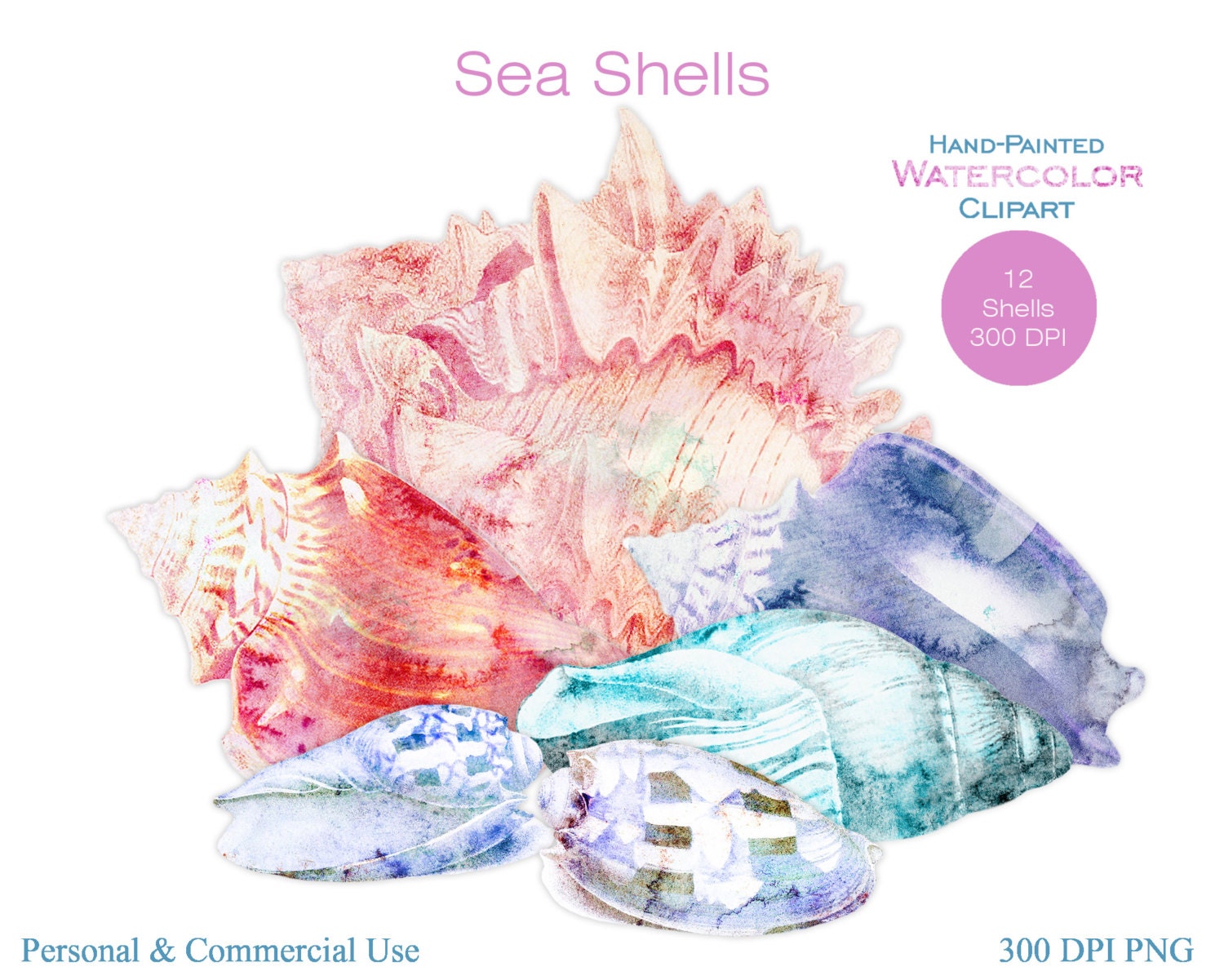 watercolor-sea-shells-clipart-commercial-use-clip-art-seashells-peach