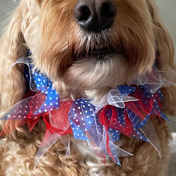 Red, White and Blue Dotty Decorative Dog Frill Collar | Dog Festivities Collar | Frilly Dot Dog collar | Canine Frill Collar