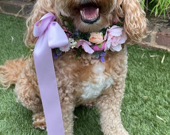 Stunning Canine Flower Garland Collar for Dog | shades of lilacs and pinks on leather collar | Ring Bearer Collar | Weddings and Proposals