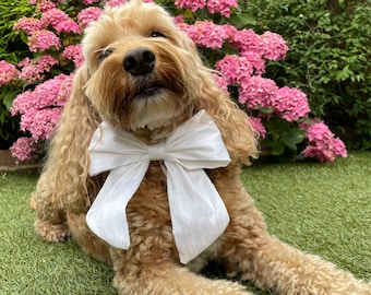 Pajarita de seda dupión para perro con collar de cuero: portador de anillos de boda opcional