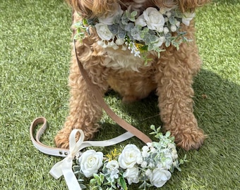 Dog Wedding Collar Ivory Floral Lead Set, optional Ring Bearer Accessory