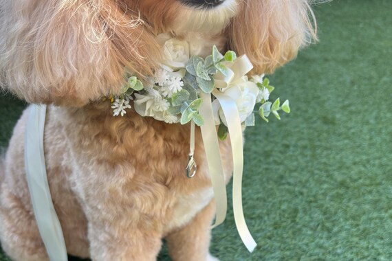 Dog Ring Bearer Wedding Collar Dog Ivory Flower Garland Colour Choices Succulent Wedding Collar Canine Garland Etsy Canada