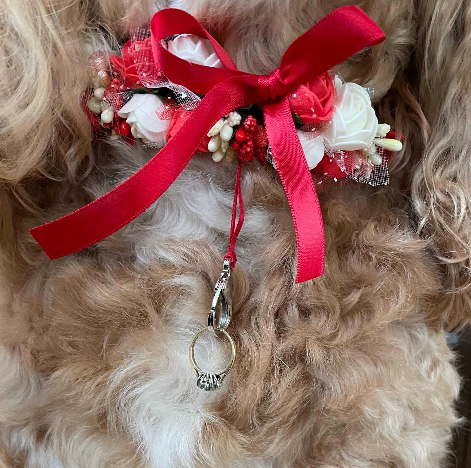 Red Ivory Rose Flower Dog Collar for Weddings and Proposals Etsy
