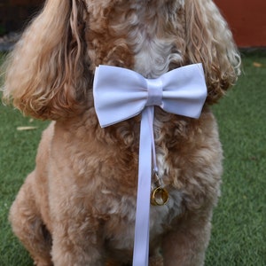 White Satin Bow Tie for Dog Ring Bearer pus Leather Collar | Dog Bow Tie Wedding Collar | Canine Wedding Collar, Proposal idea