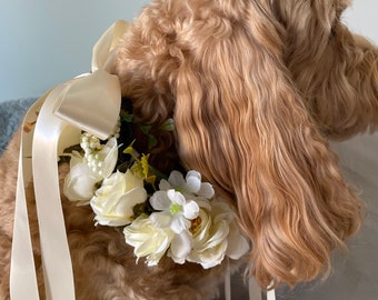 Collier de mariage pour porteur d'alliances pour chien | Guirlande de fleurs ivoire chien | Choix de couleurs | Collier de mariage succulent | Guirlande canine