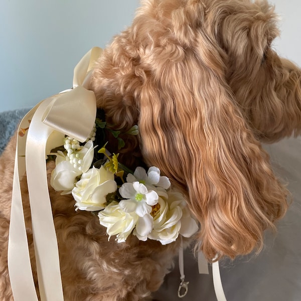 Collar de boda portador de anillo de perro / Guirnalda de flores de marfil para perros / Opciones de color / Collar de boda suculento / Guirnalda canina
