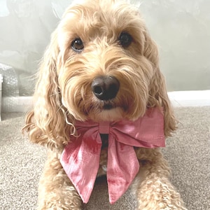 Sailor Bow Dog Collar handmade in Rose Pink Silk | optional Ring Bearer Collar | Silk Bow Tie for Dog | Canine Collar for photoshoots