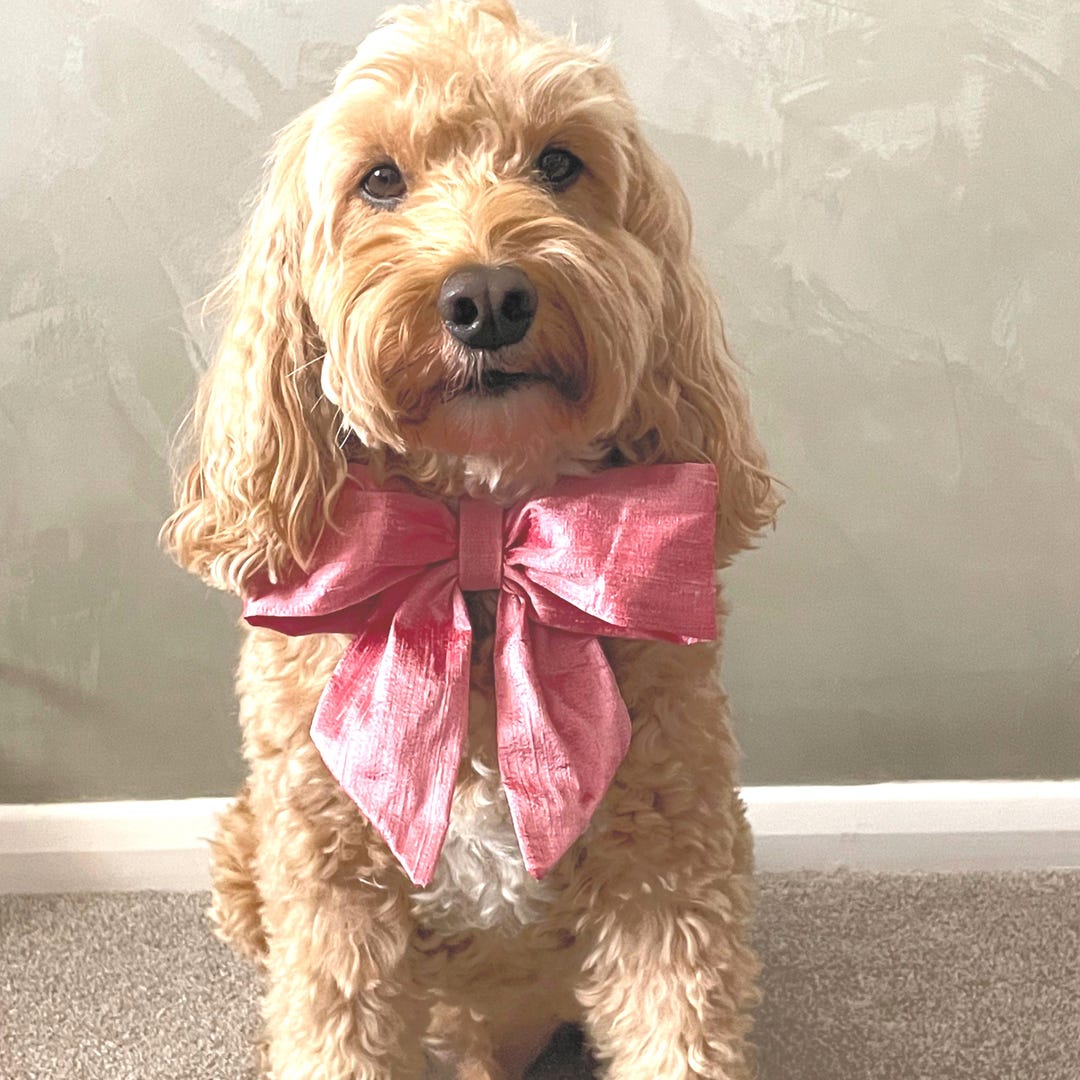Rose Pink Silk Bow Tie Dog Collar: Leather Ring Bearer Option