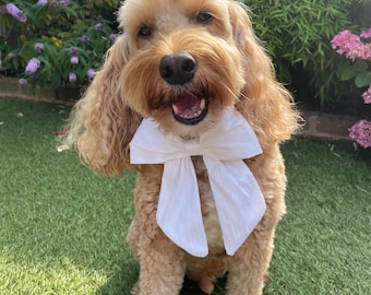 Silk Dupion Dog Bow Tie with Leather Collar: Wedding Optional Ring Bearer