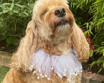 Tulle and Pearl Dog Frill | Dog Wedding Collar | Puppy Dog Frill Collar | Ring Bearer Frill for Dogs