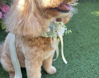 Dog Wedding Flower Collar on White Leather Collar. Ring Bearerer Accessory, Floral Dog Collar