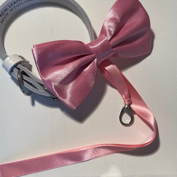 Satin Bow Tie Collar in Pink for Dog Ring Bearer | Collar for wedding and proposals | Pet Wedding Collar | Wedding Dog Collar