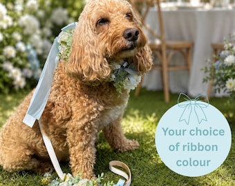 Dog Flower Collar and Lead Set - personalise with your ribbon colour