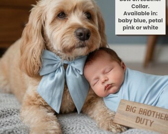 Dog Bow Tie Handmade 100% Silk Dupion & Leather Collar: Senior Sibling Milestone Set