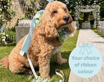 Dog Flower Collar and Lead Set - personalise with your ribbon colour