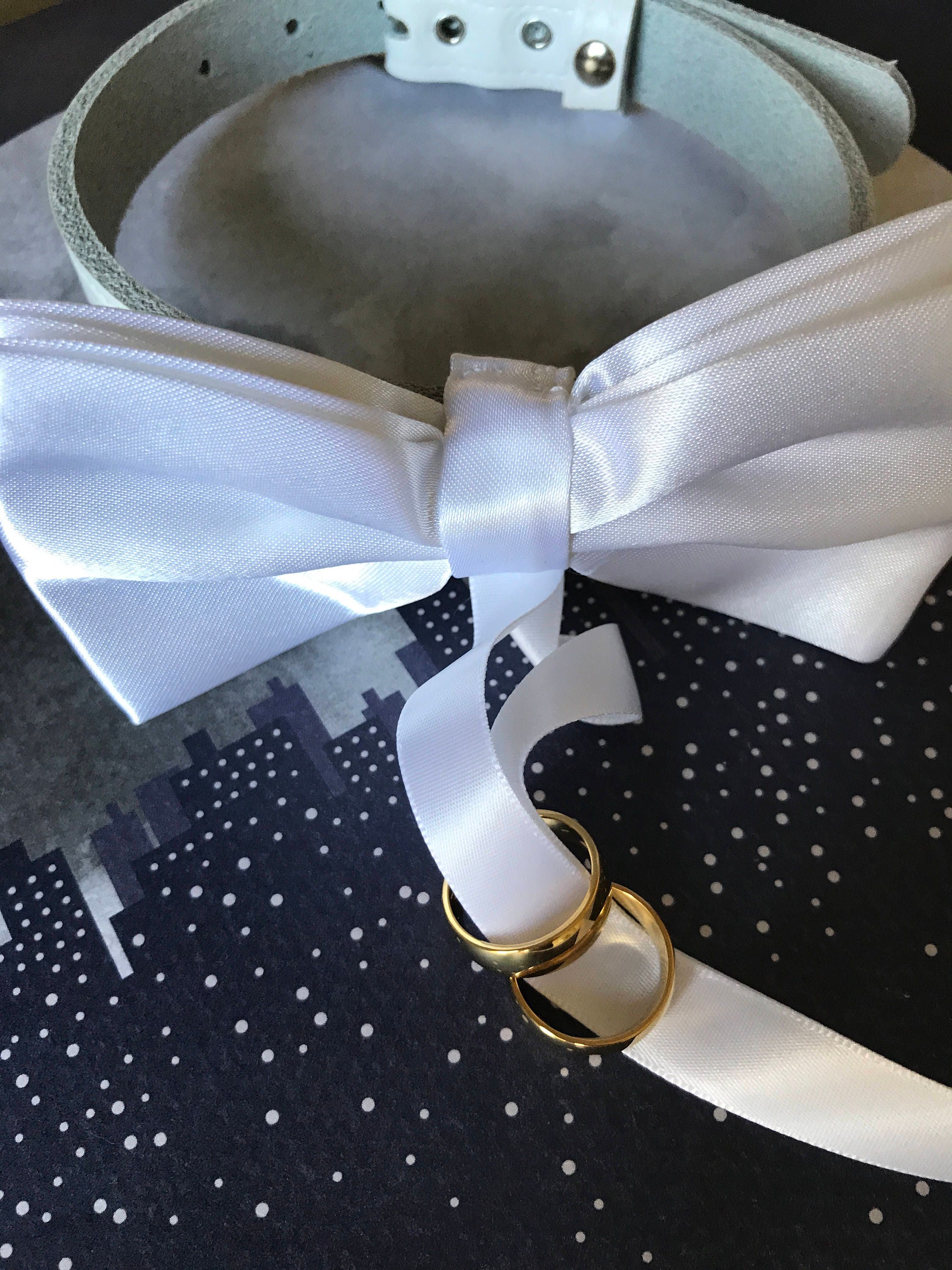 Dog Ring Bearer Collar for Weddings and Proposals