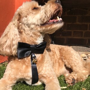 Dog Bow Tie Black | Dog Ring Bearer Bow Tie for weddings and proposals | Wedding Dog Collar | Pet Wedding Collar