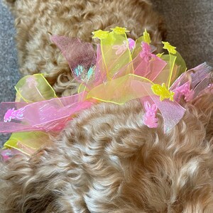 Sparkling Bunny and Chick Frill Dog Collar | Dog Festivities Easter ...