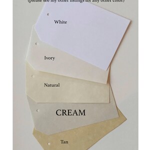 Message In a Bottle Wedding, Message In a Bottle Notes, Message Scrolls Cream colored paper image 9