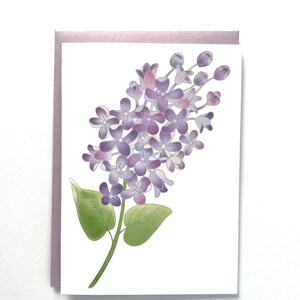 Lovely Lilacs