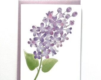 Lovely Lilacs