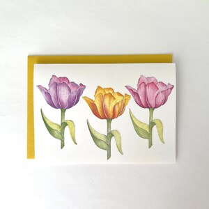 Tulips & Daisies